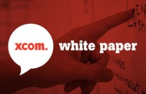 White Paper: Big Data